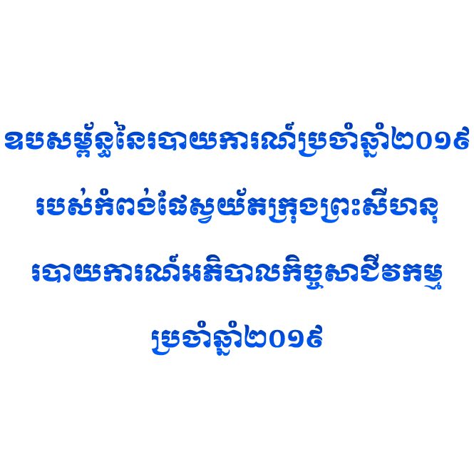 របាយការណ៍ហិរញ្ញវត្ថុសម្រាប់ ដំណាច់ឆ្នាំ ថ្ងៃទី៣១ ខែធ្នូ ឆ្នំ២០១៩